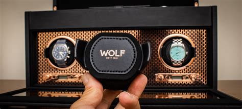 watch winder settings for Rolex